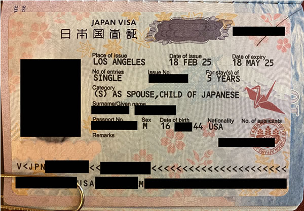 査証